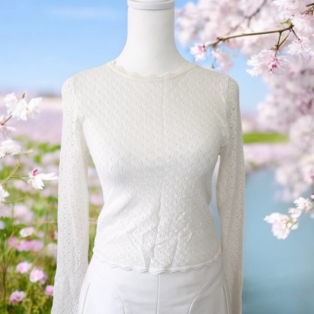 Zara Lace Bell Long Sleeve Crop Top